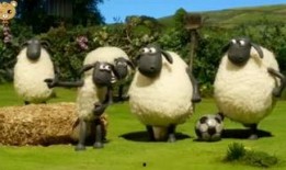 小羊最新爆料视频大全集,揭秘幕后真相，带你走进事件核心