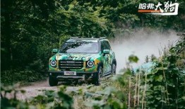 哈弗大狗2.0最新爆料,动力强劲，科技赋能，引领SUV新潮流