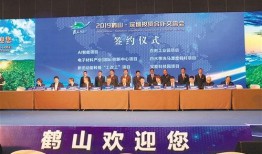 江门头条最新爆料,重大事件背后真相揭晓！